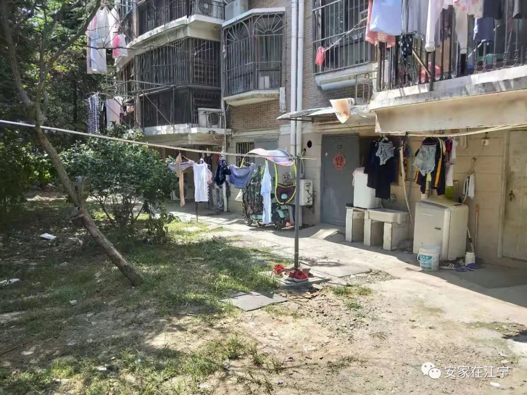 最新大雜亂時(shí)代，混沌與秩序的重建之路