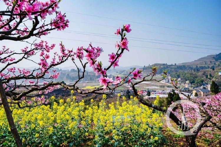 合川最新科技新聞，高科技產(chǎn)品引領(lǐng)未來生活潮流
