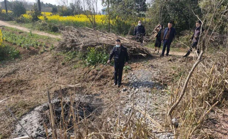 溧陽最新天氣，氣象變遷與地域影響探究