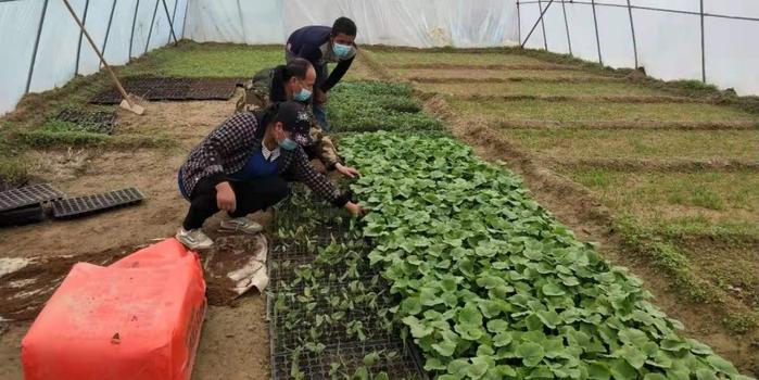 策勒最新招聘啟航人才新篇章，學(xué)習(xí)變化，擁抱自信與成就，啟程人生新征程！