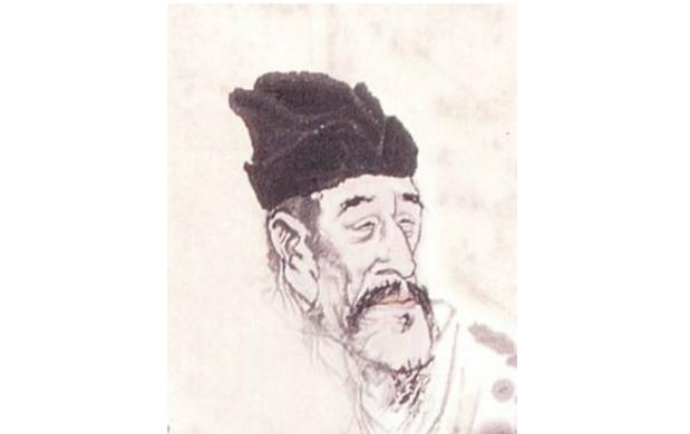 最新孤雁圖片，展現(xiàn)自然之美與深意的瞬間