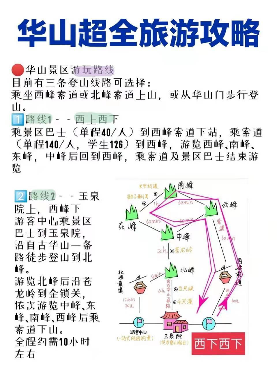 華山旅游最新探秘，小巷中的獨特風味之旅