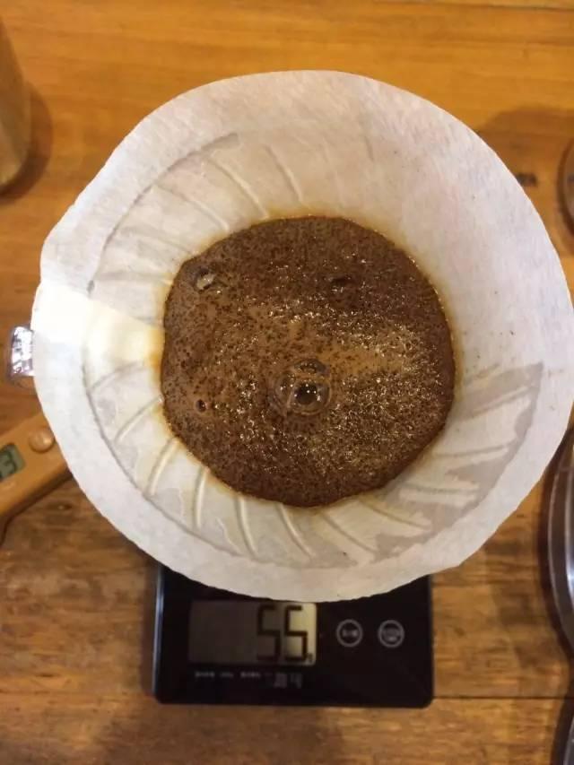 最新萃取法詳解，步驟指南與操作技巧