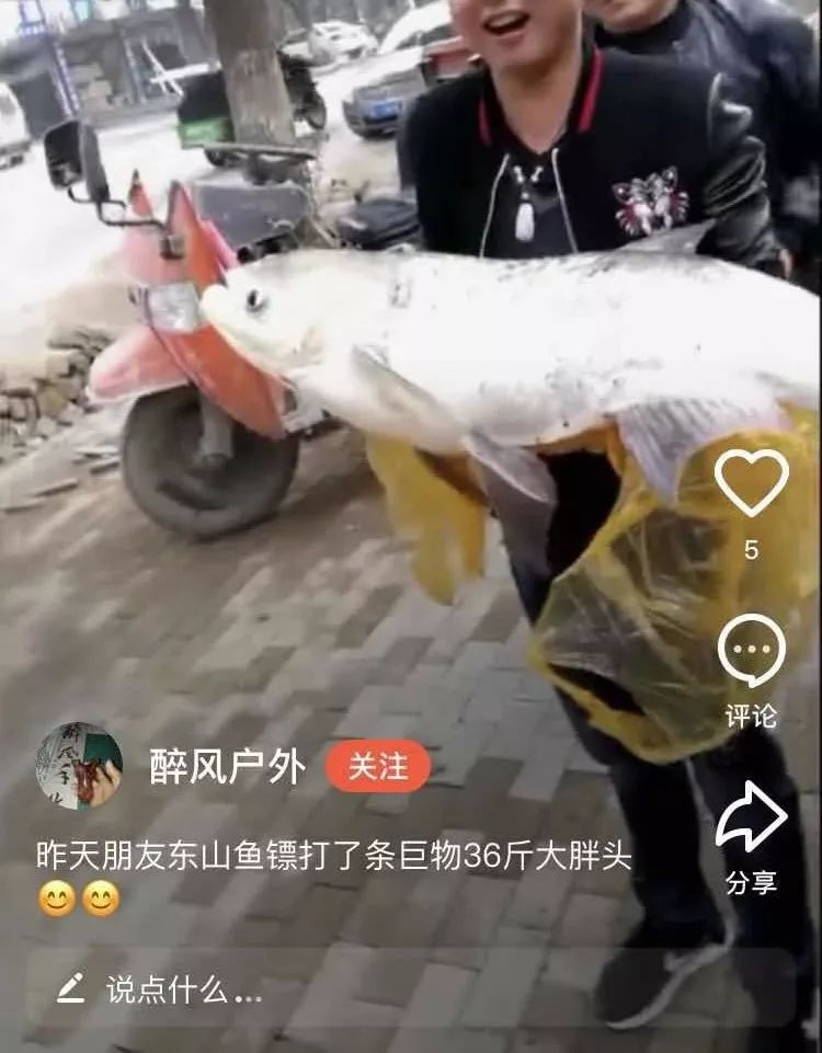 射魚神器進(jìn)化升級，學(xué)習(xí)變革與自信成就之源