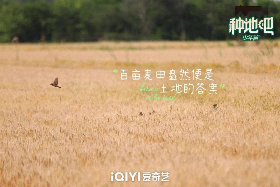 種地吧最新語(yǔ)錄，探索未來(lái)農(nóng)業(yè)的高科技魅力