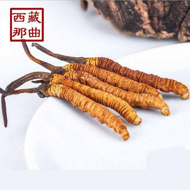 揭秘2025年蟲草最新價格，探尋小巷中的秘密行情！