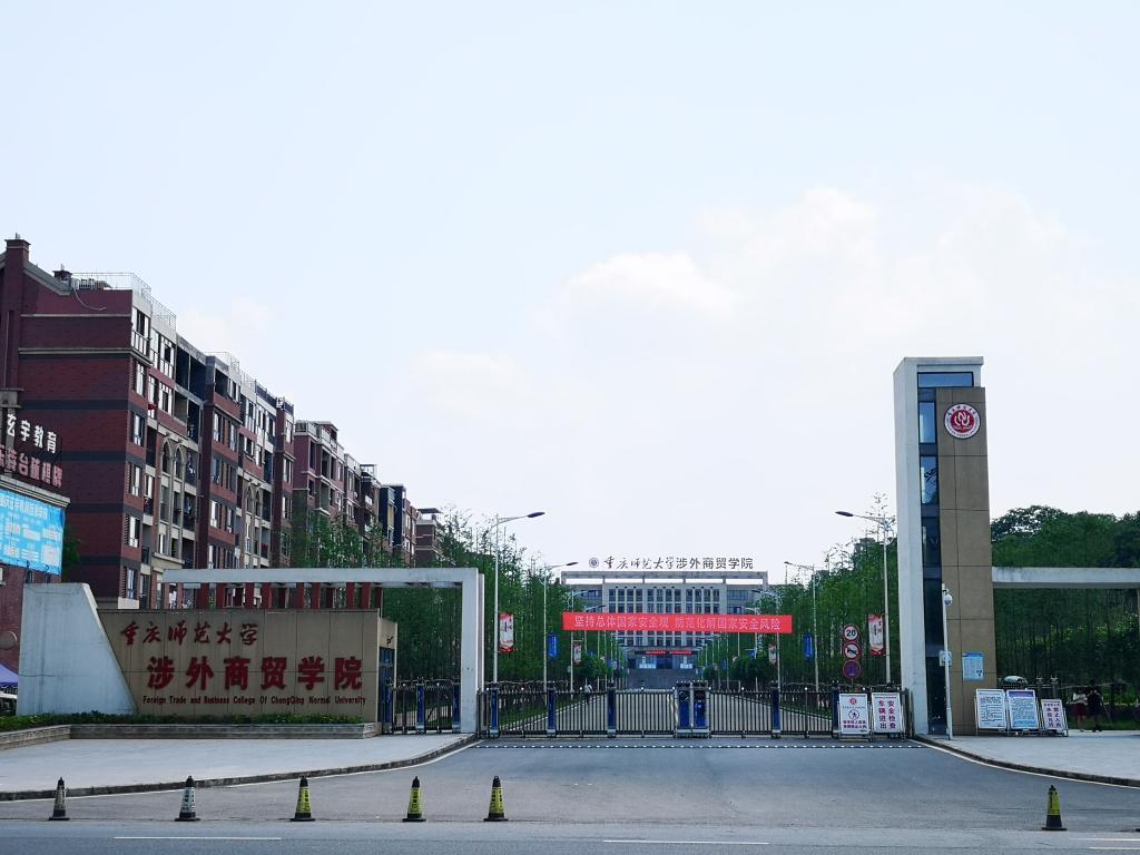 最新本科專業(yè)探秘，小巷中的隱藏寶藏之門